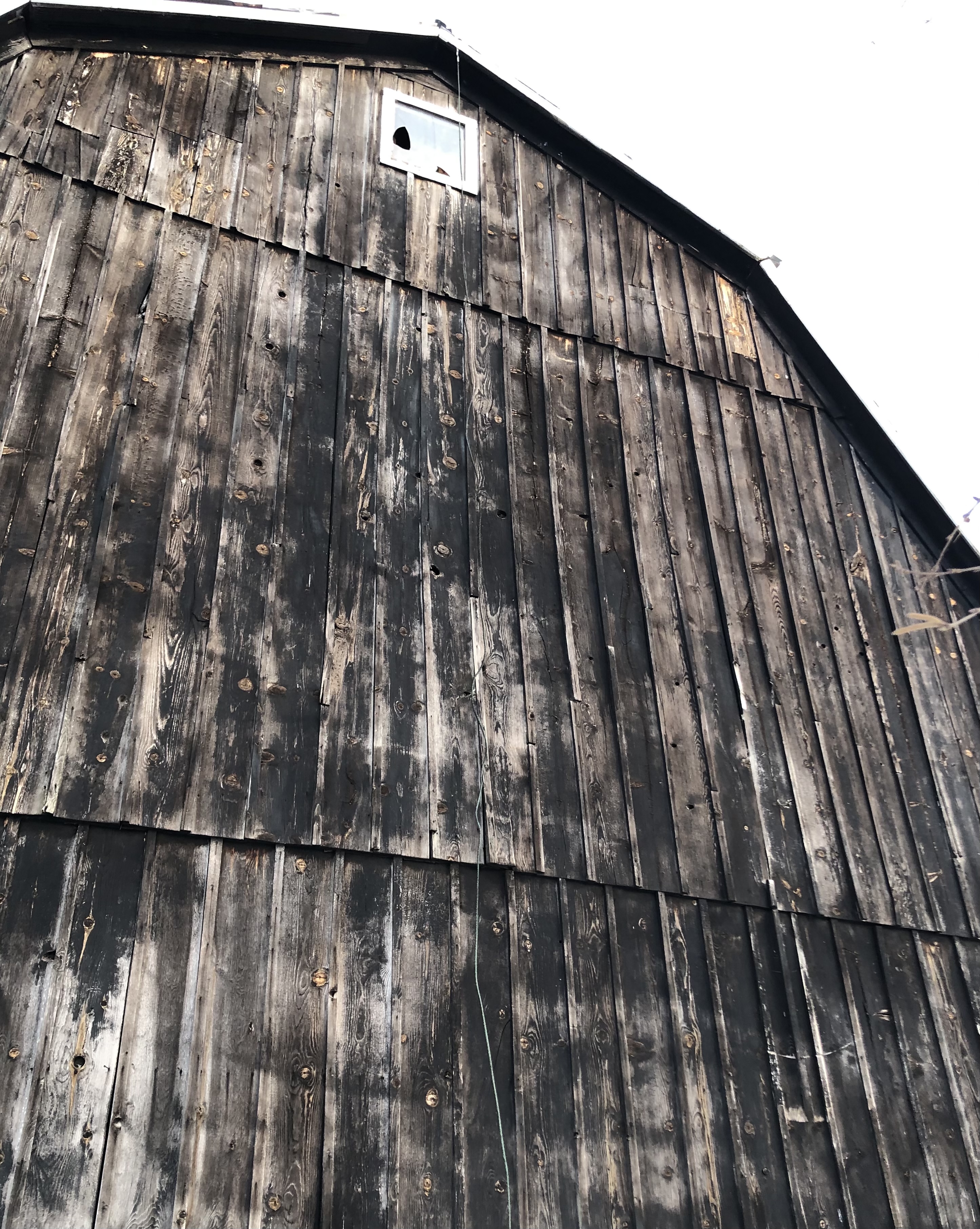 IRL, Broken up there NFT on Algorand