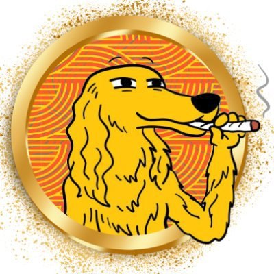DOOGLE token logo
