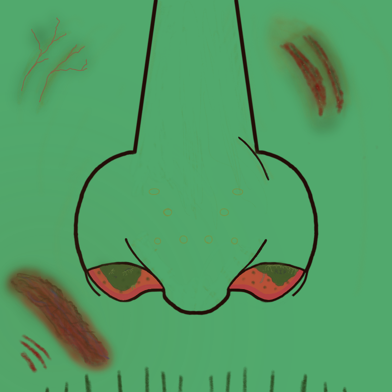 Moco Loco 10 NFT on Algorand