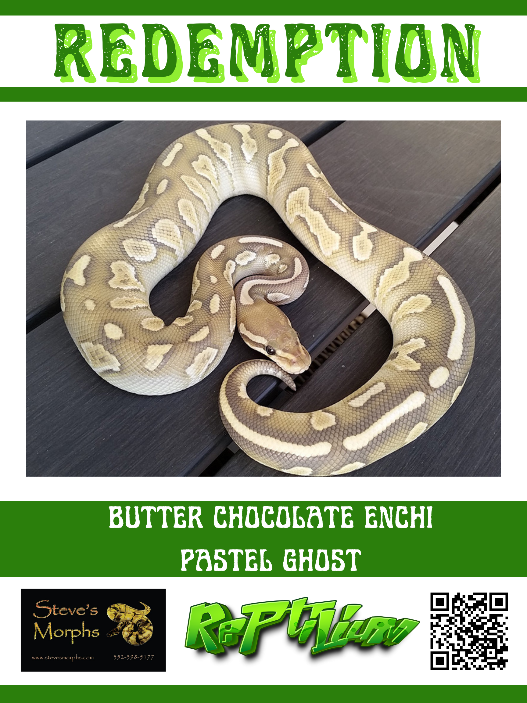 Butter Chocolate Enchi Pastel Ghost (6 Trait) | BP #1