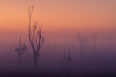 Calmness