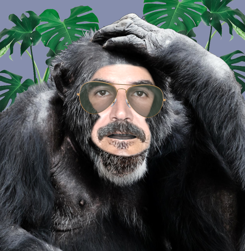 Coop77 NFT on Algorand