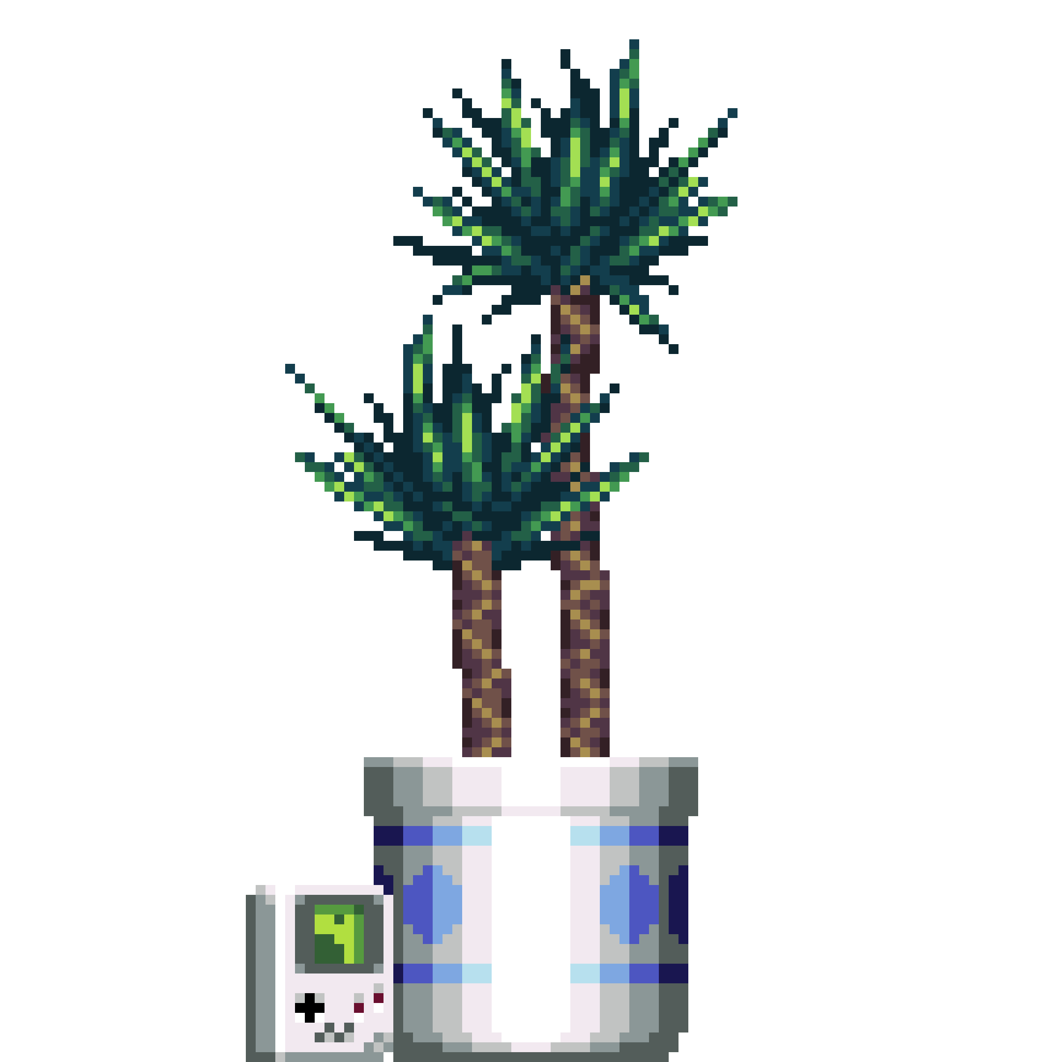 Yucca Palm in Large Pattern pot with Gameboy