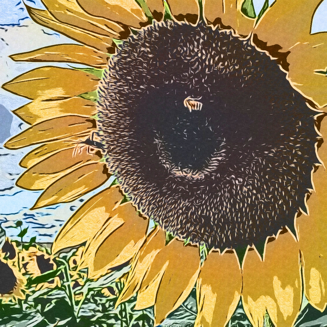 Sunflower Bee NFT NFT on Algorand