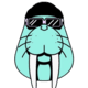 Walrus