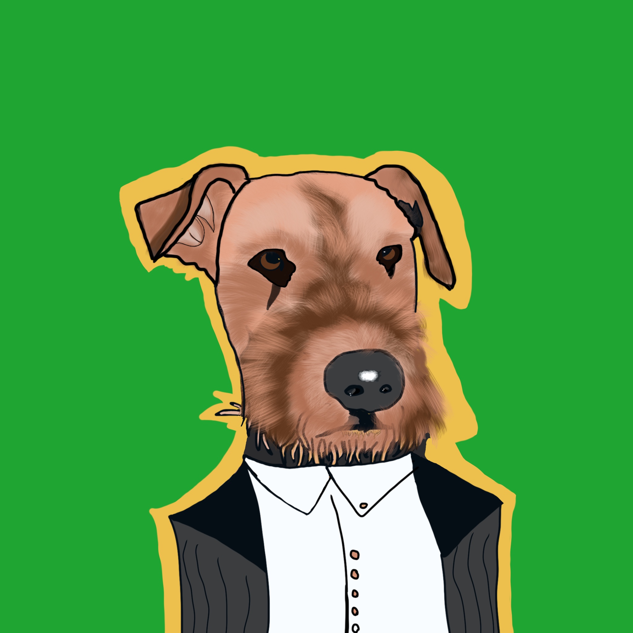 AiredALGO#2 NFT on Algorand