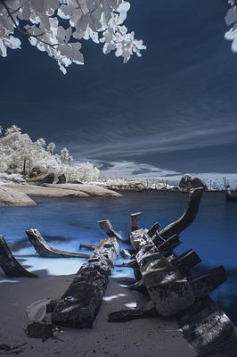 Abandoned Ark