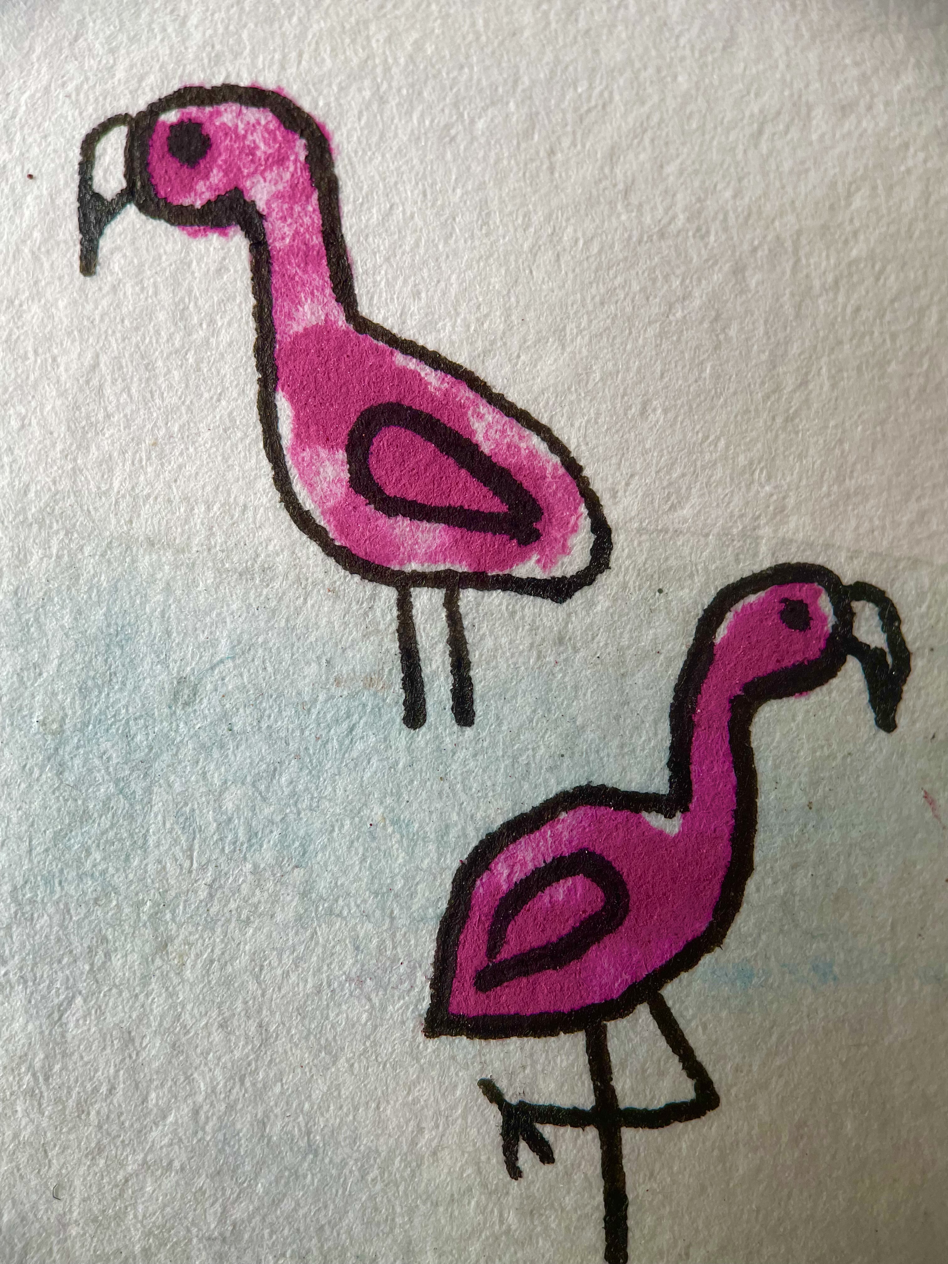 Flamingo Friends NFT on Algorand