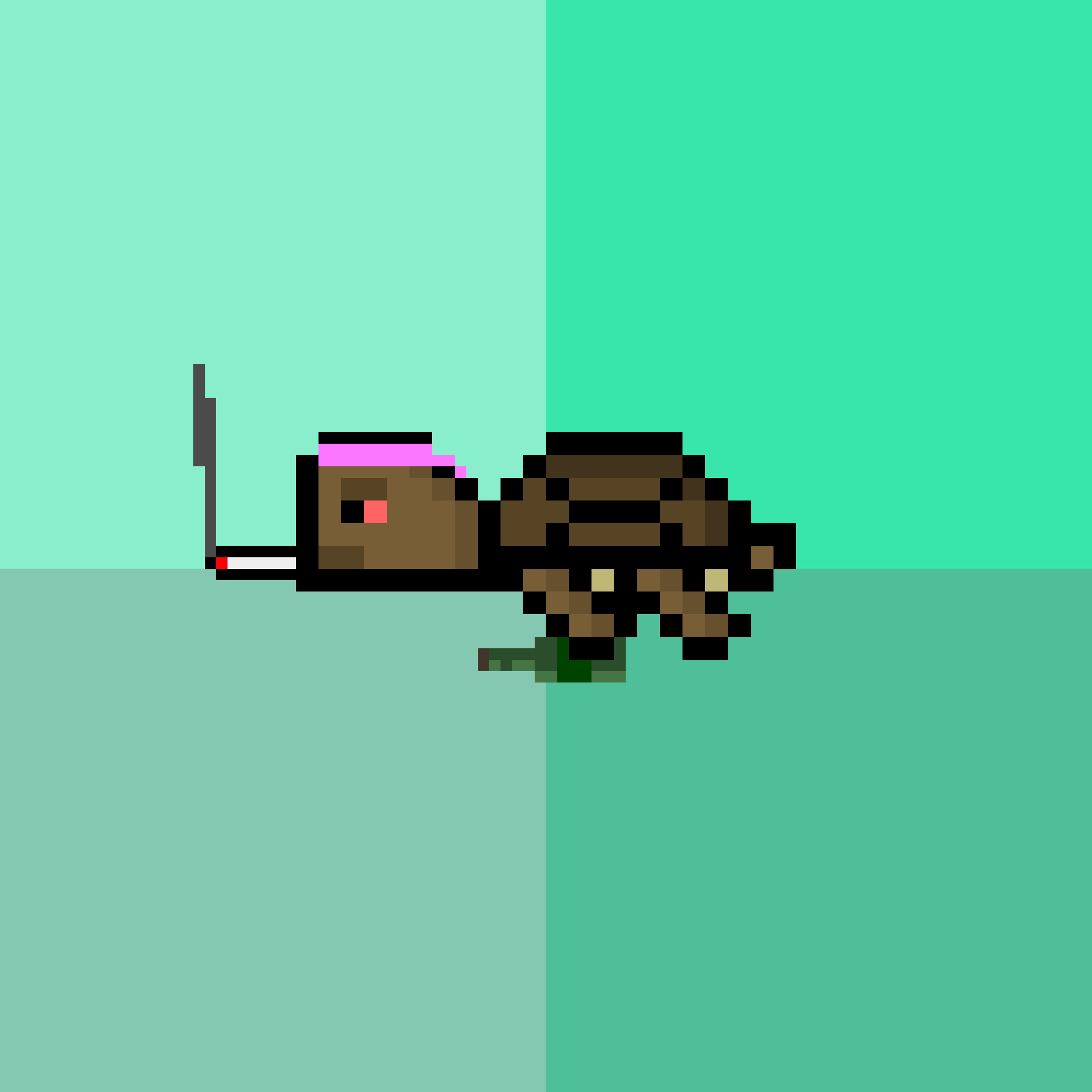 DAO Turtle #2741