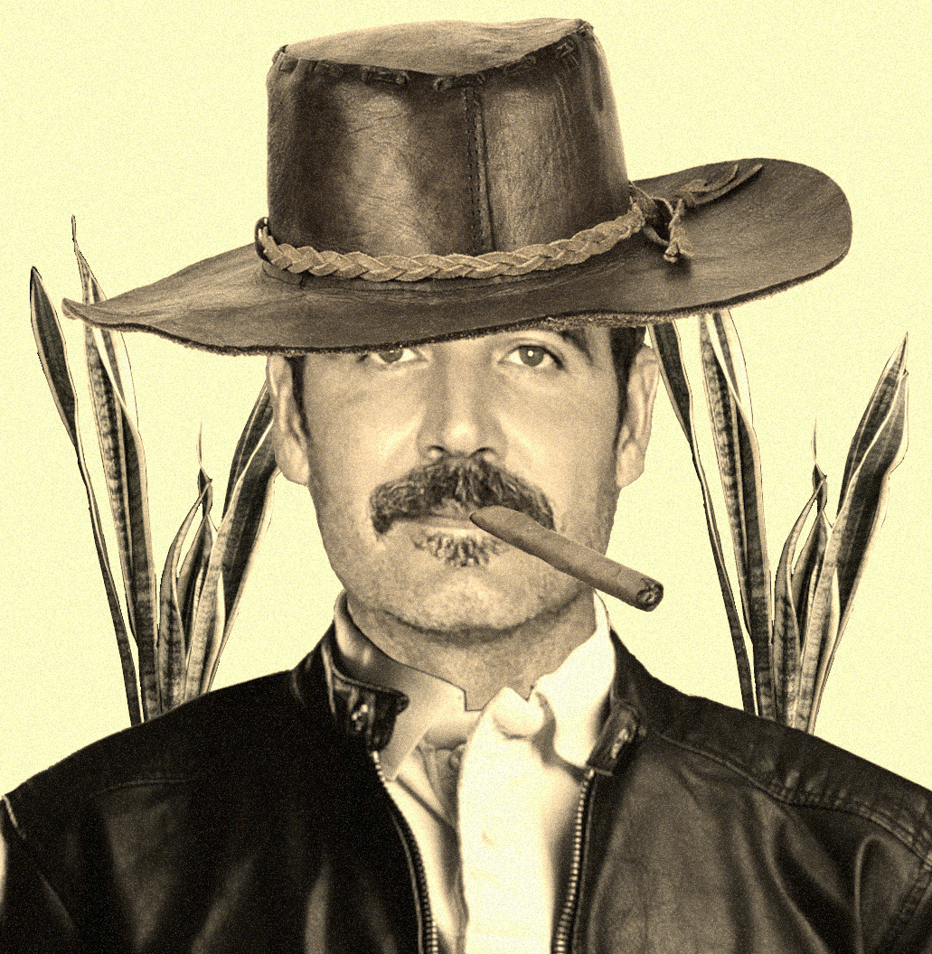 Coop96 NFT on Algorand