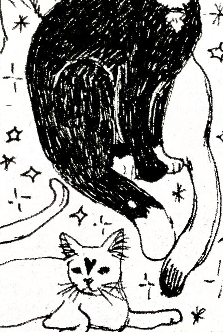 Cat Shard #9