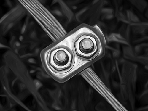 Hamburg Metal Seed Stainless Fastener Box