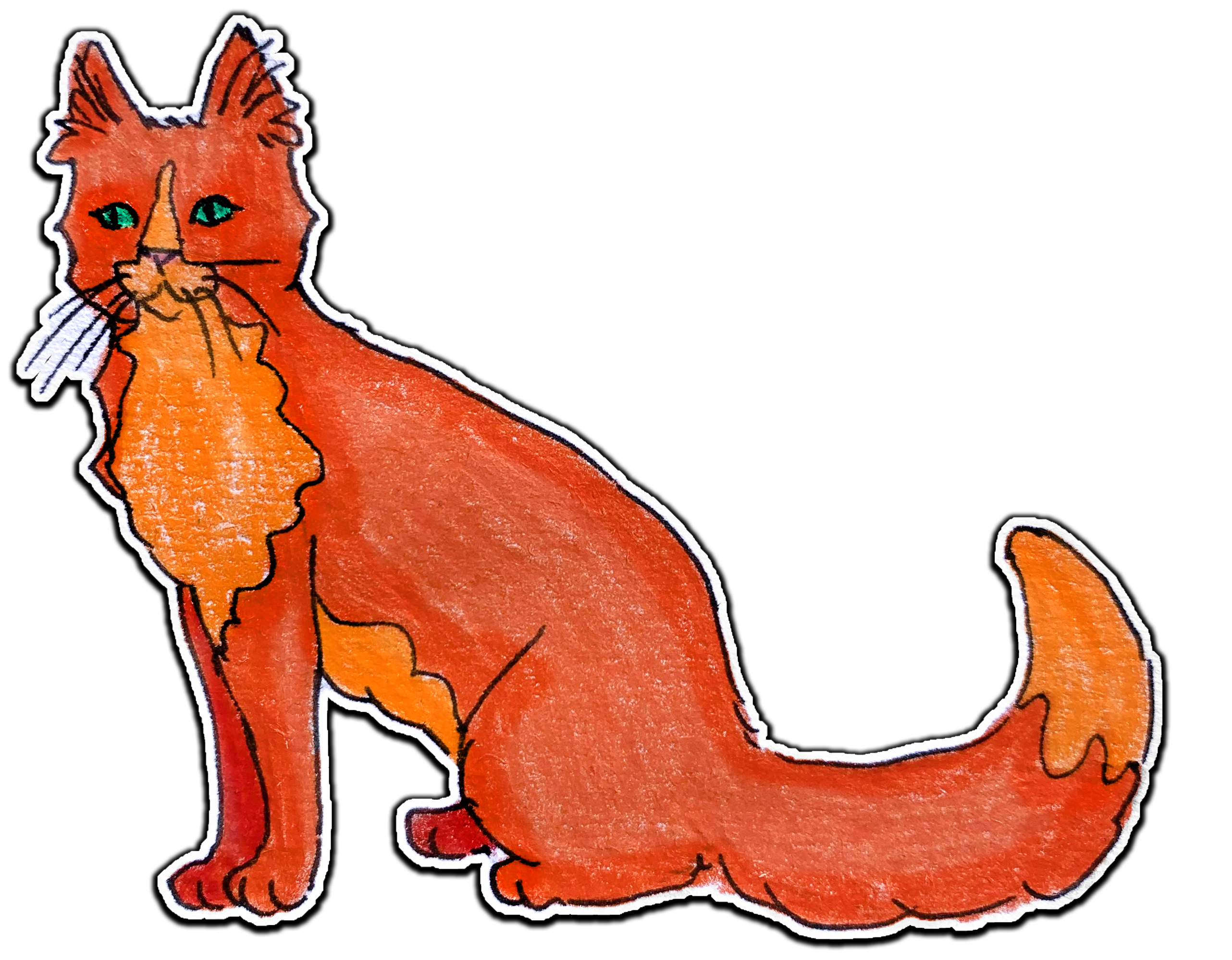 Orange Cat