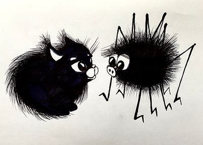 Spider