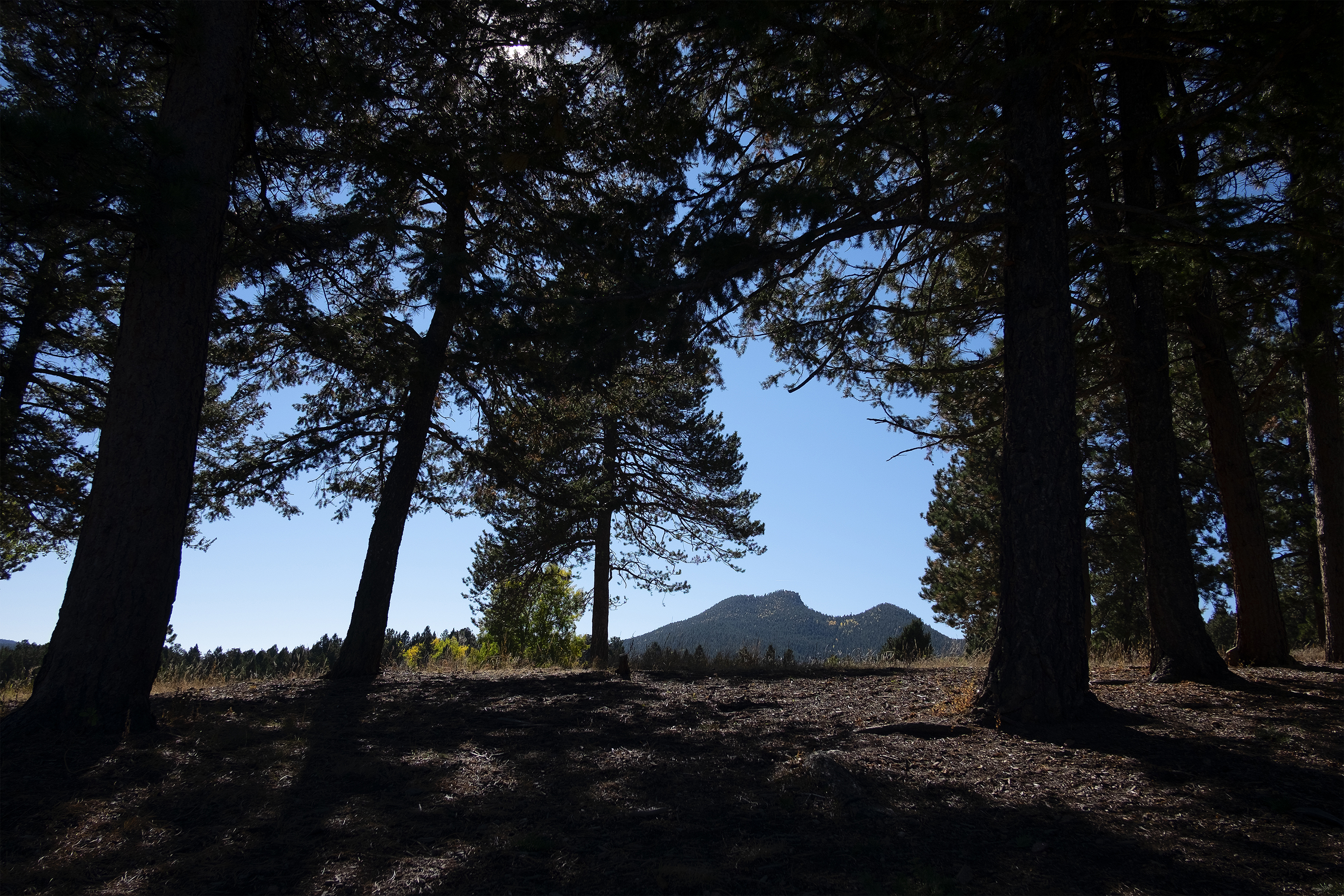 Blockscapes #1 NFT on Algorand