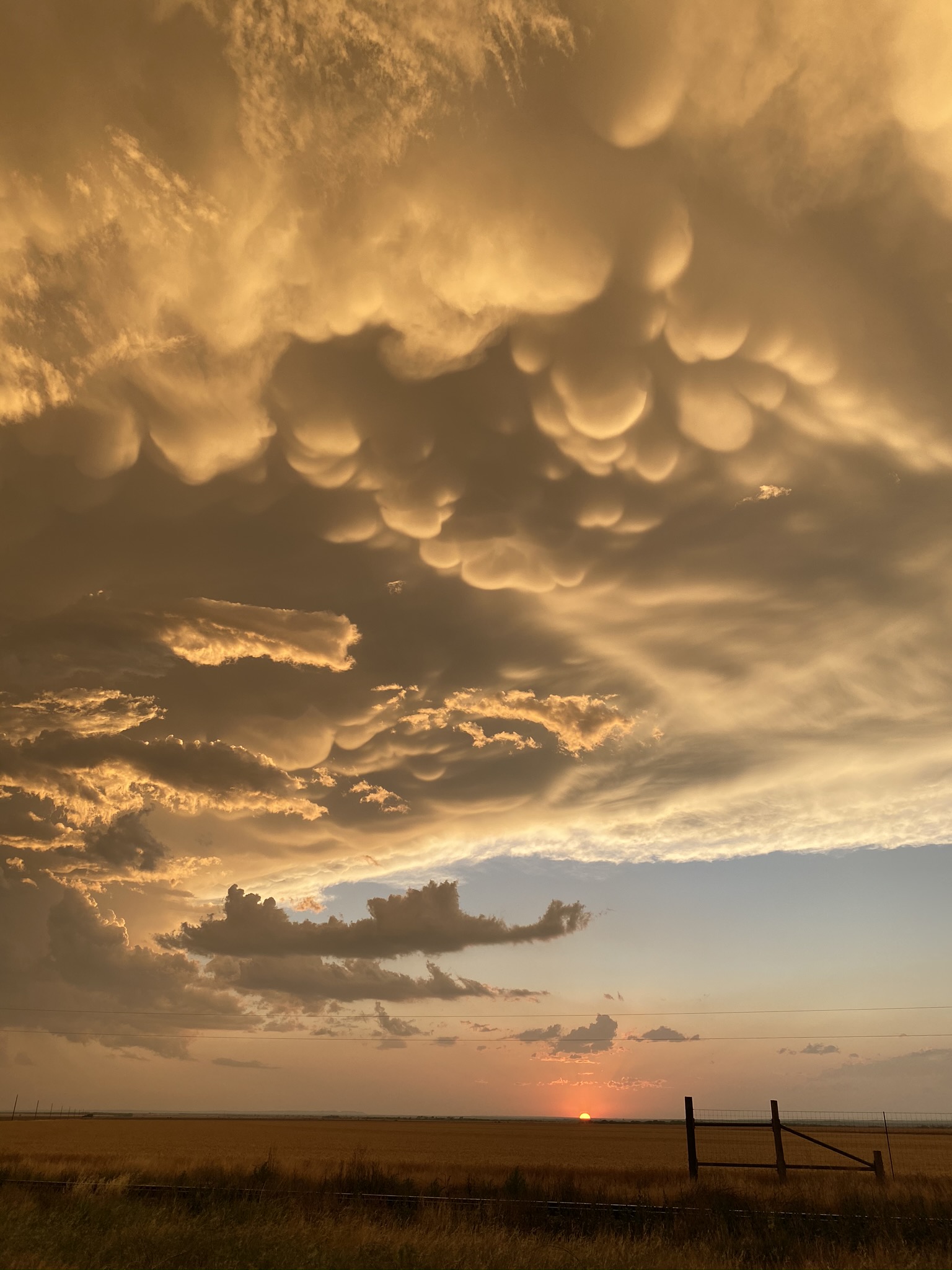 Texas Sky 16 NFT on Algorand