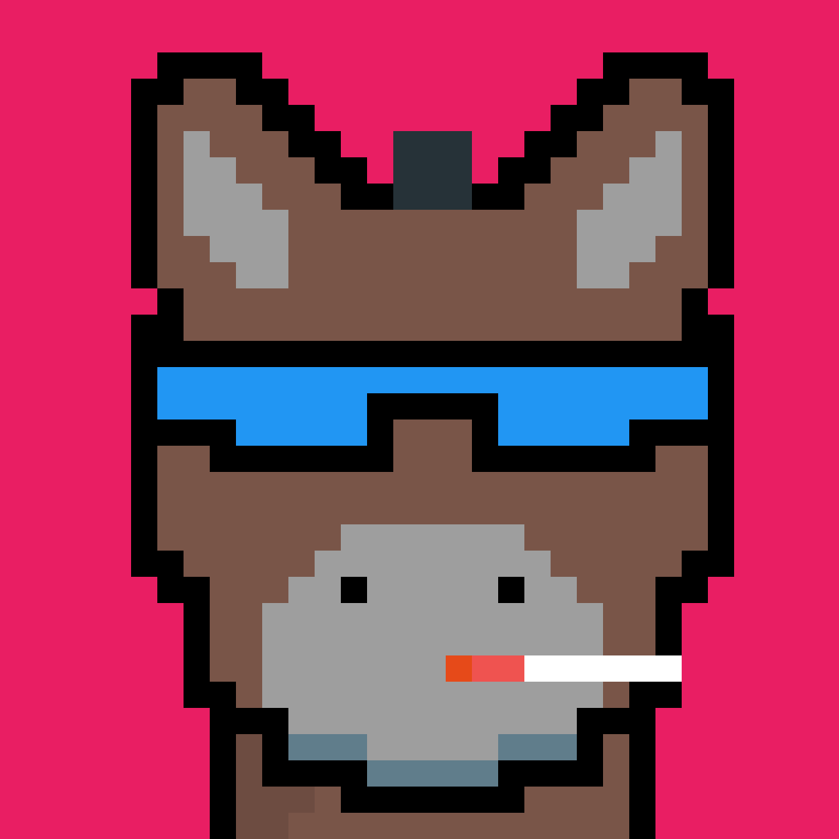 D O N K E Y NFT on Algorand