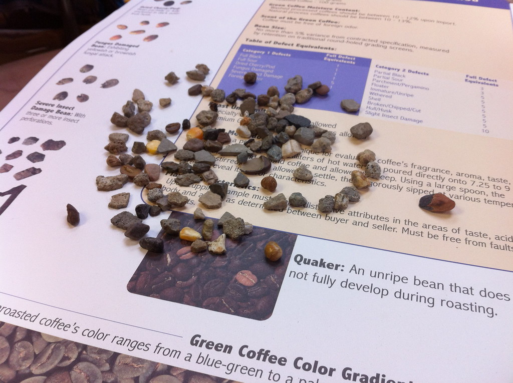 Nairobi Coffee Seed Green Coffee Sample Set