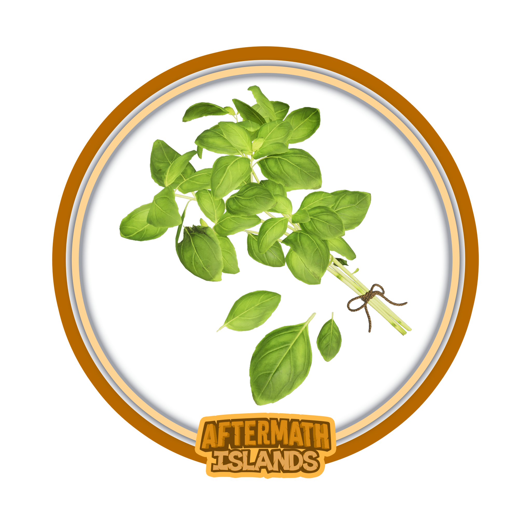 Basil Bunch