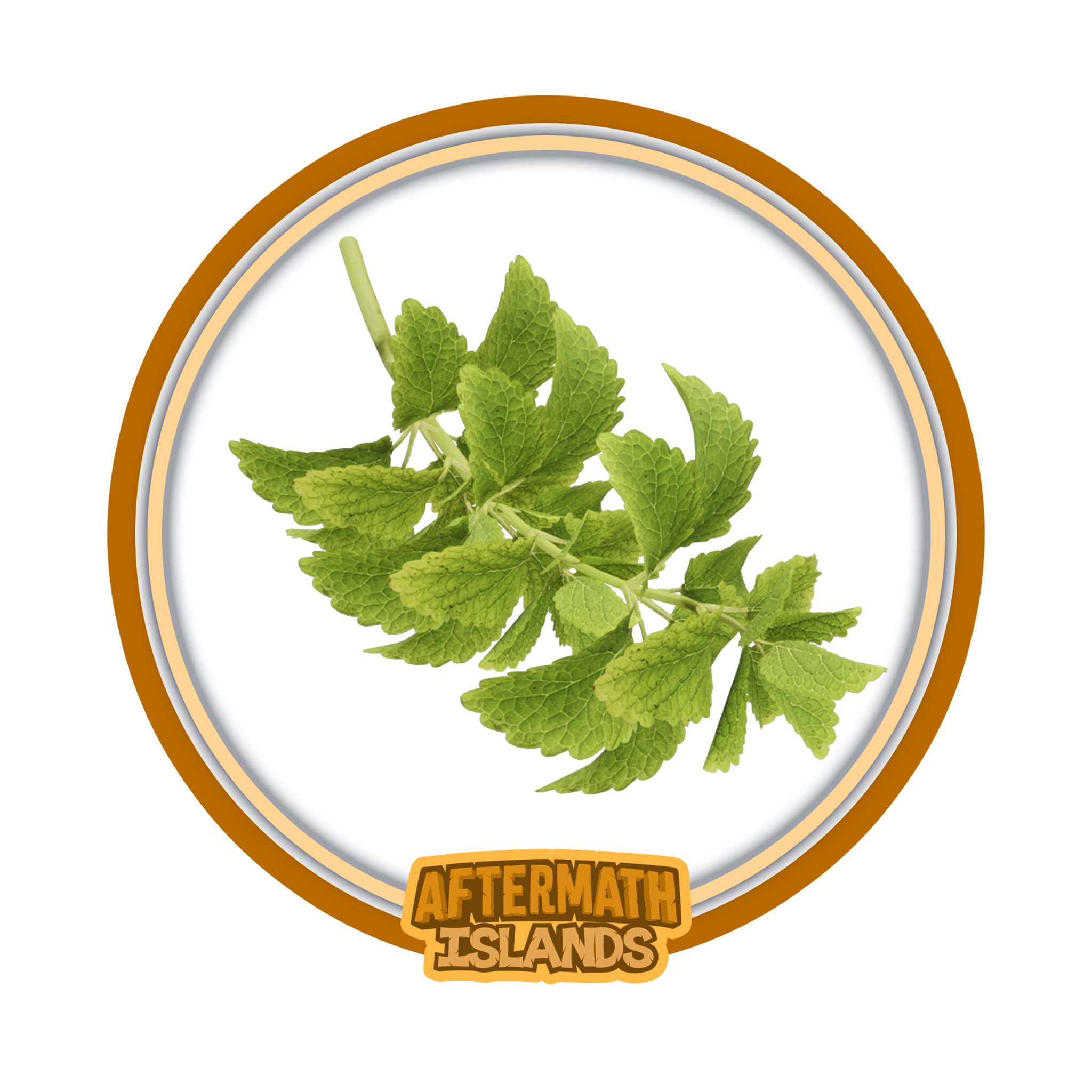 Stevia Bunch