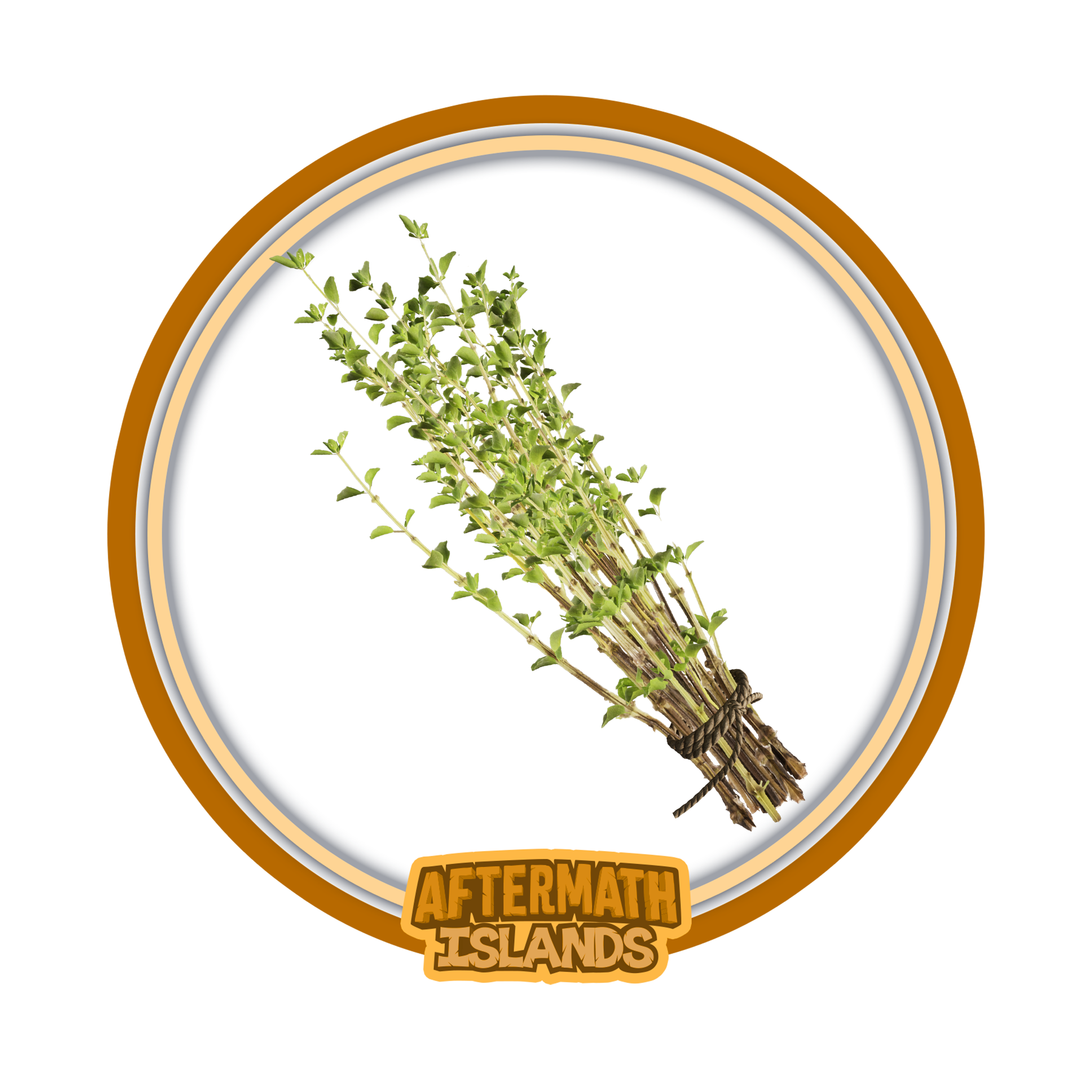 Thyme Bunch