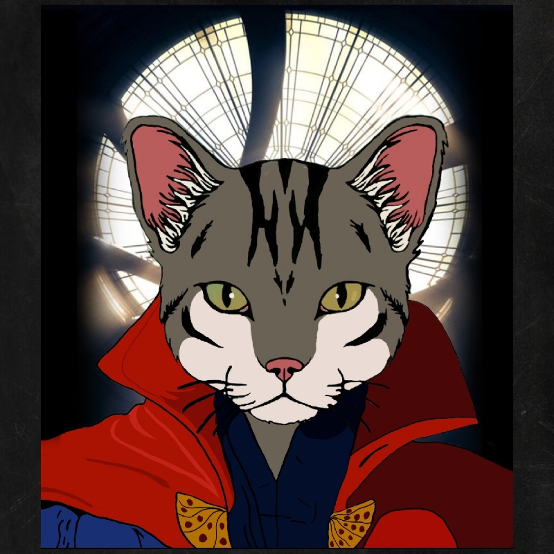 cat #34 NFT on Algorand