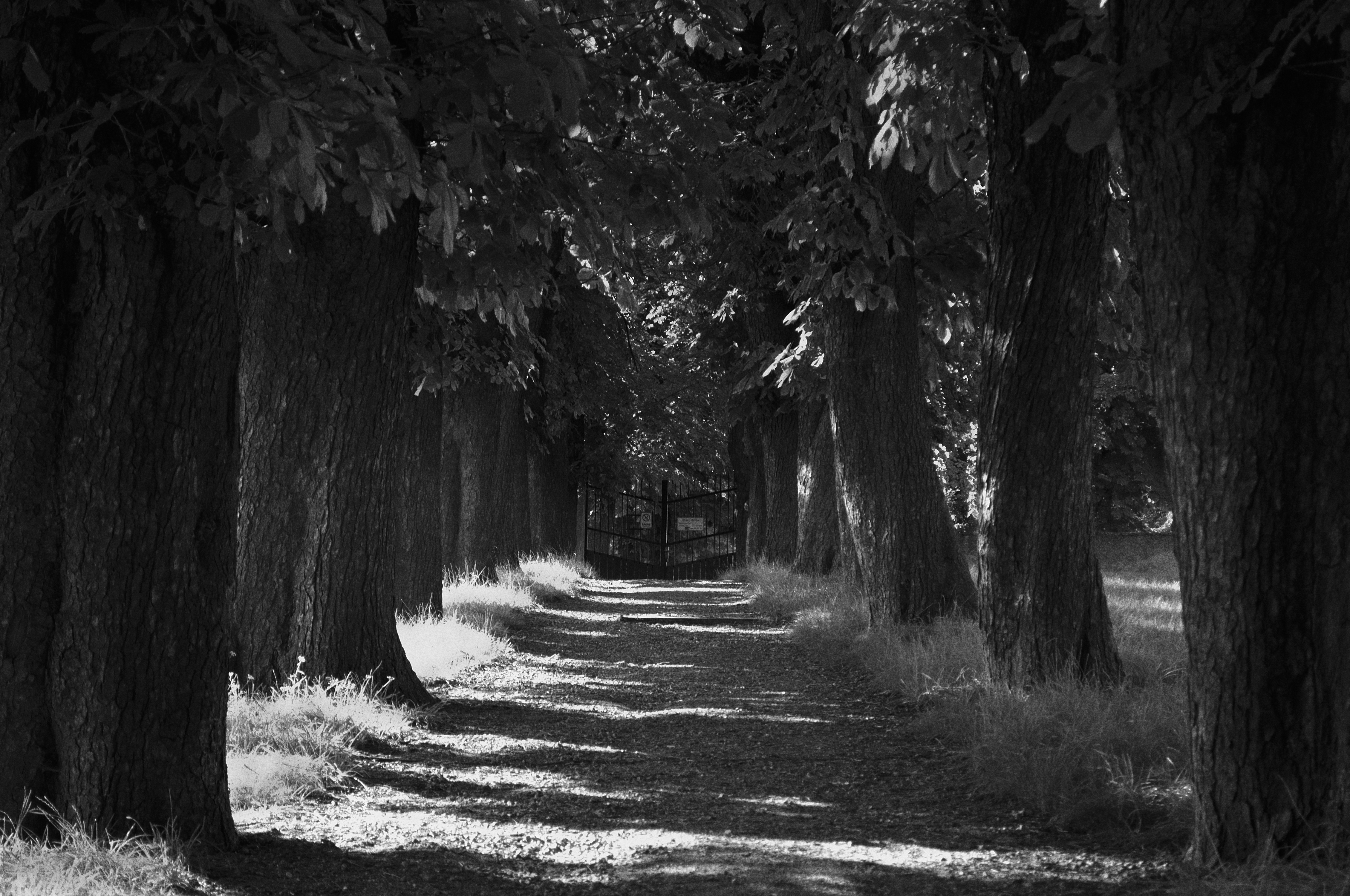 Urban Minimalism #3 NFT on Algorand