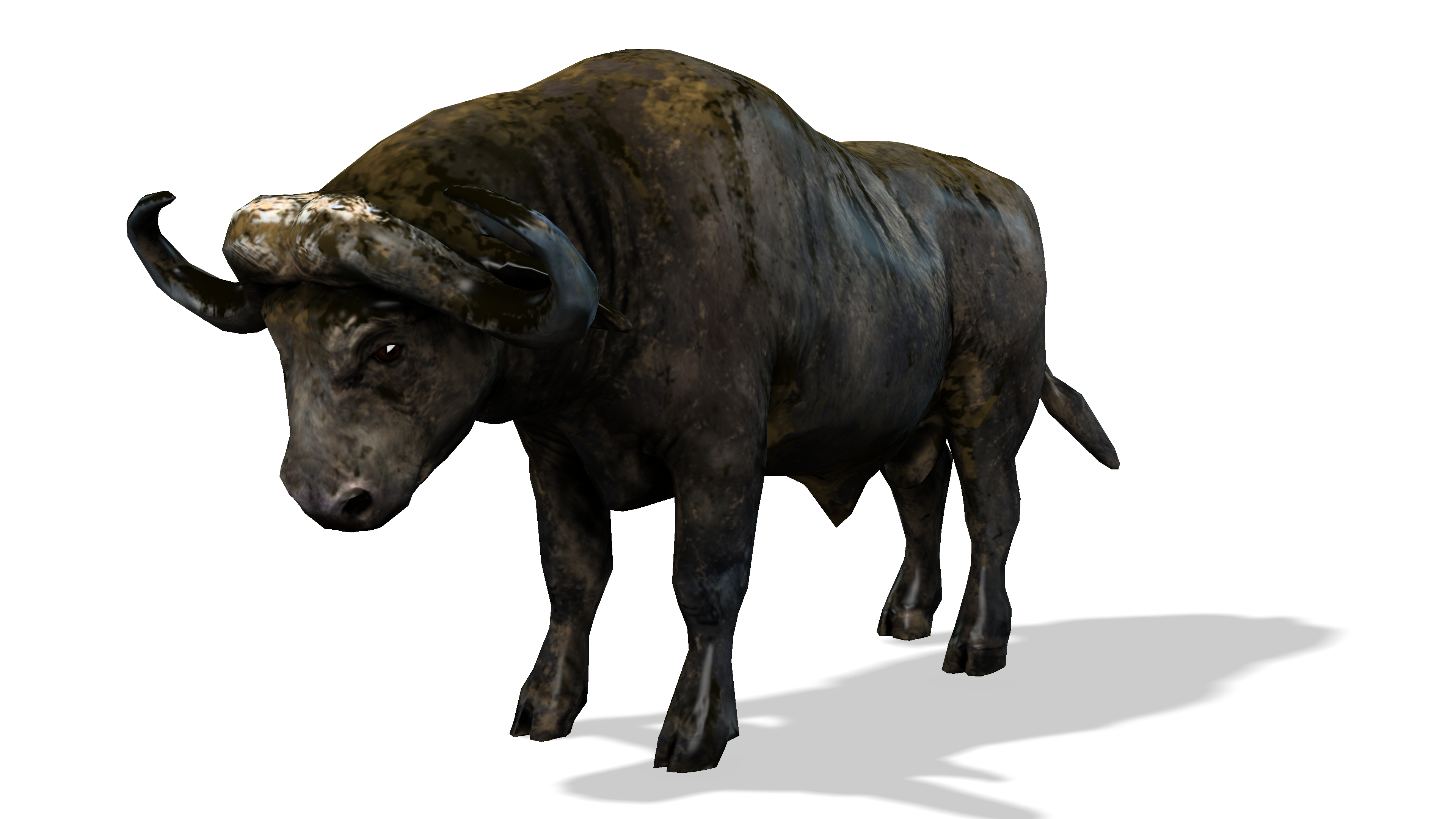 Algoria.io Pet Buffalo NFT on Algorand