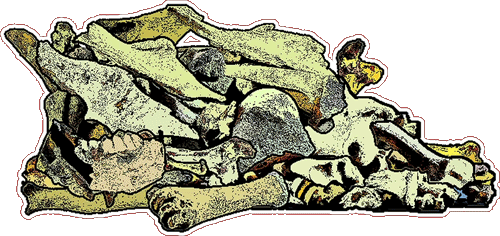 The Bunny's Bones