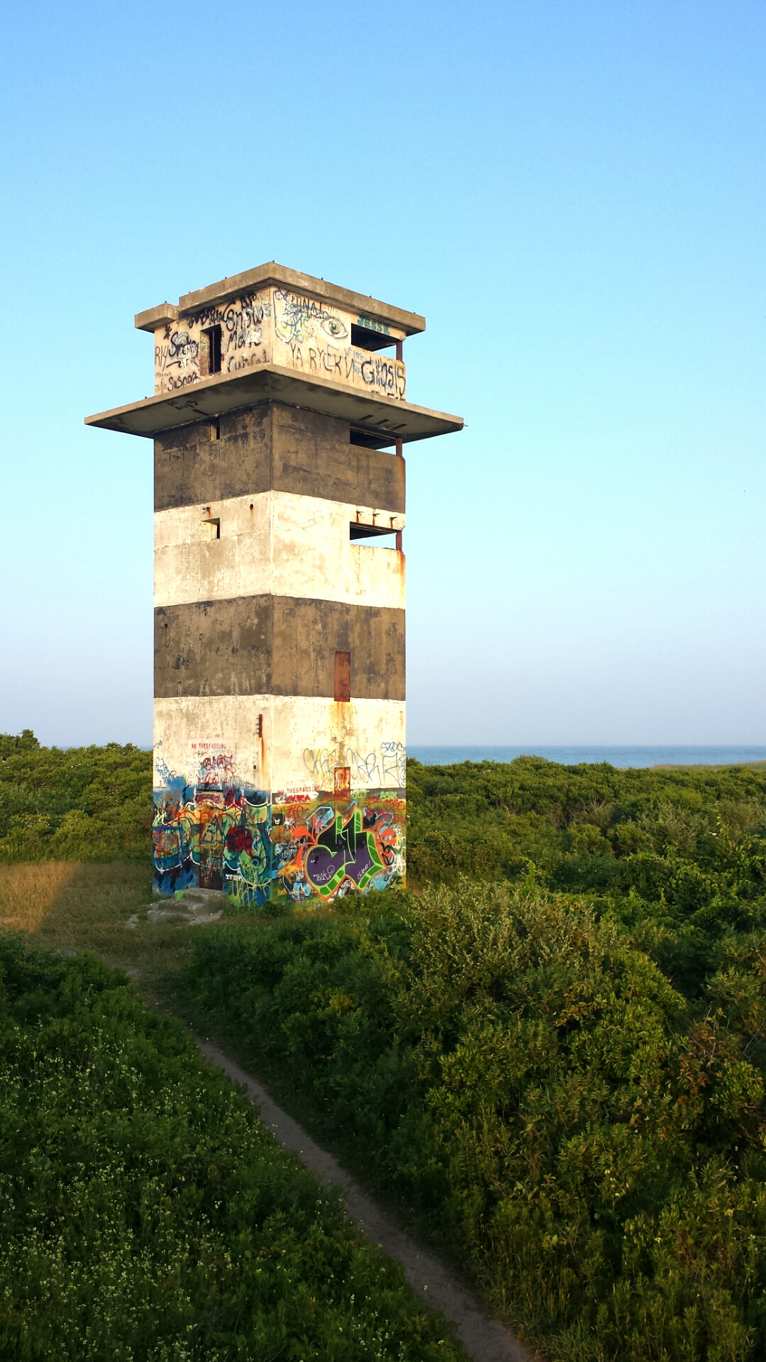 GooseberryTower NFT on Algorand