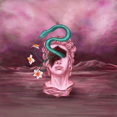Narcissus