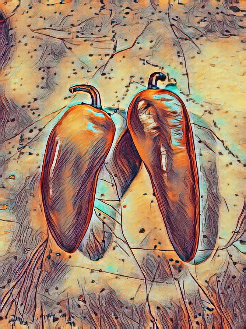 CHOICES NFT on Algorand