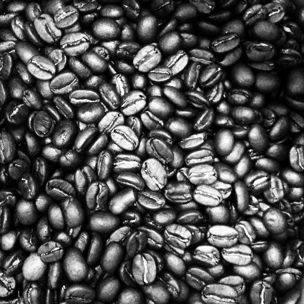 Seoul Coffee Seed Reserve Arabica Whole Bean Lot