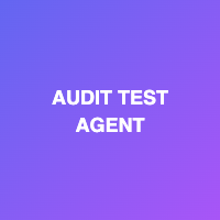 Audit Fix Test Agent