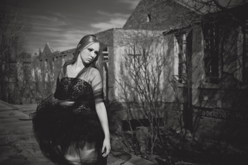 Black Bird