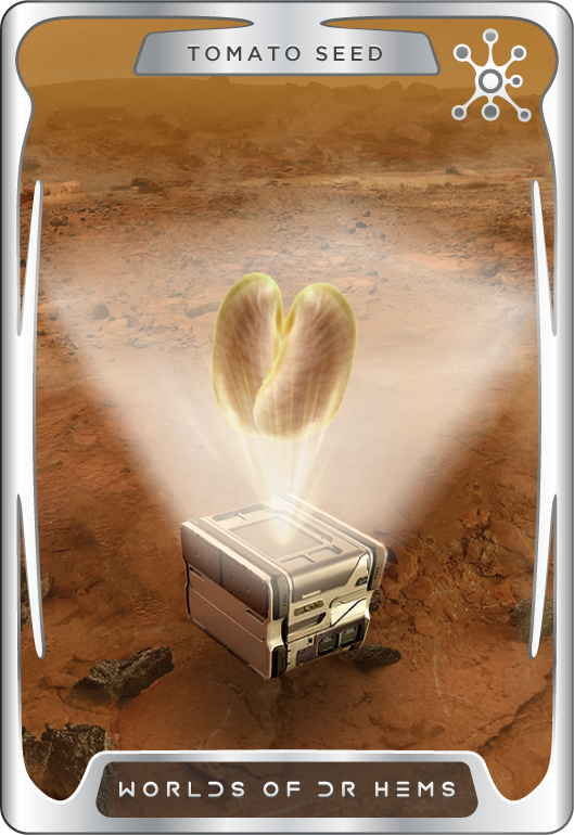 Tomato Seed
