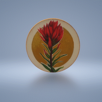 Indian Paintbrush
