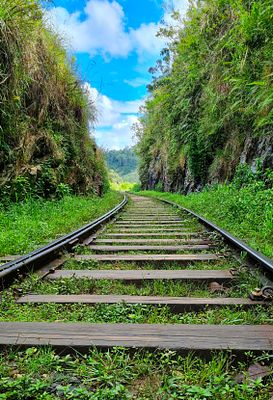 Road