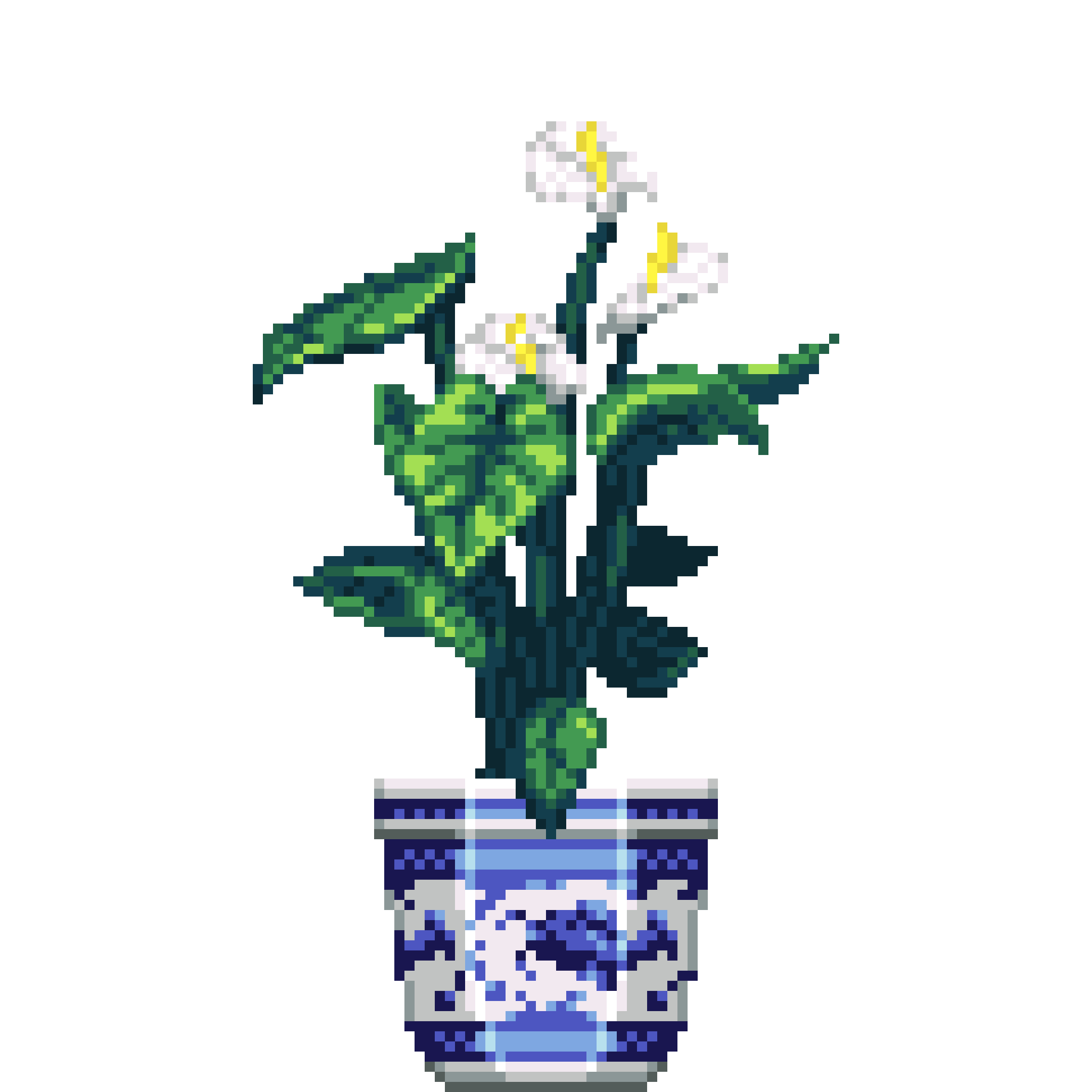 White Anthurium in Porcelain pot