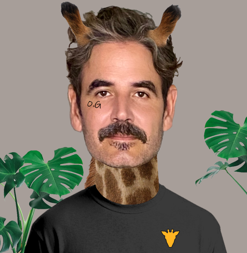 Coop81 NFT on Algorand