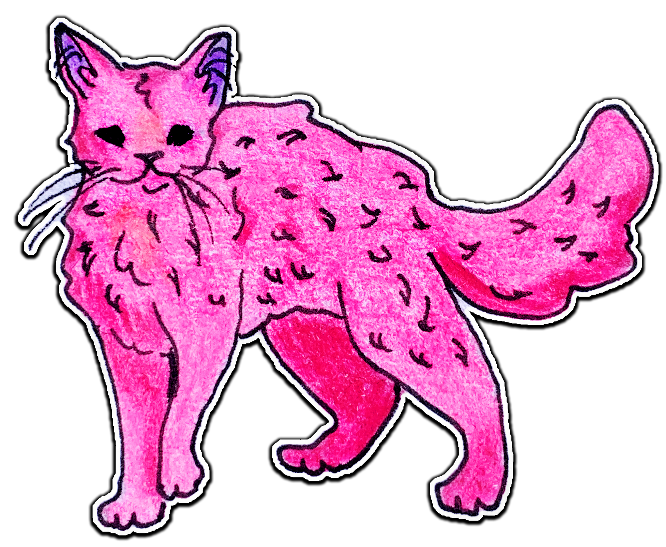 Pink Cat