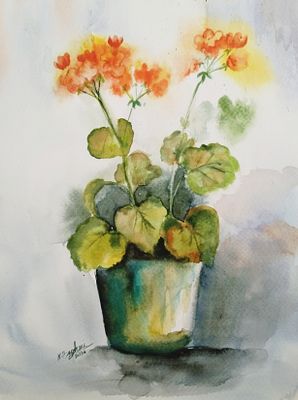 Pot of geraniums