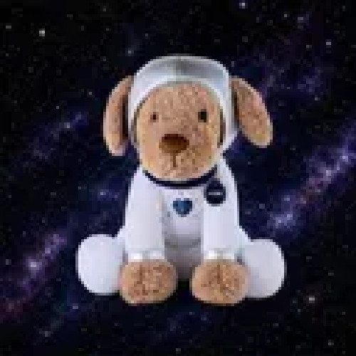 Space Puppy logo
