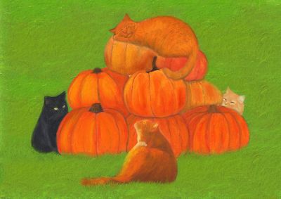 Cats and pumpkins