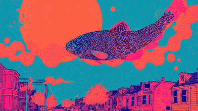 fish out of water