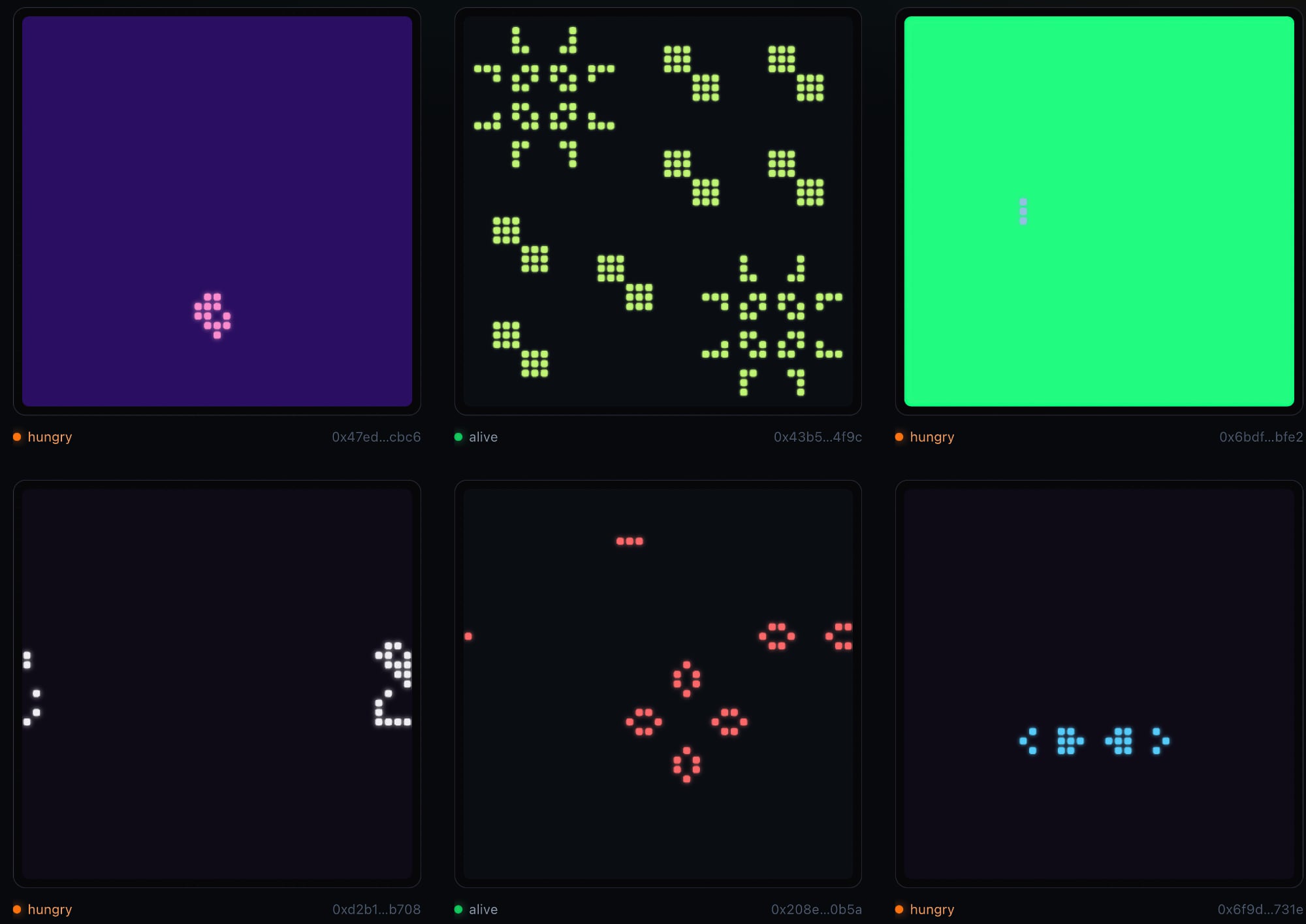 petri - a garden of digital bacteria