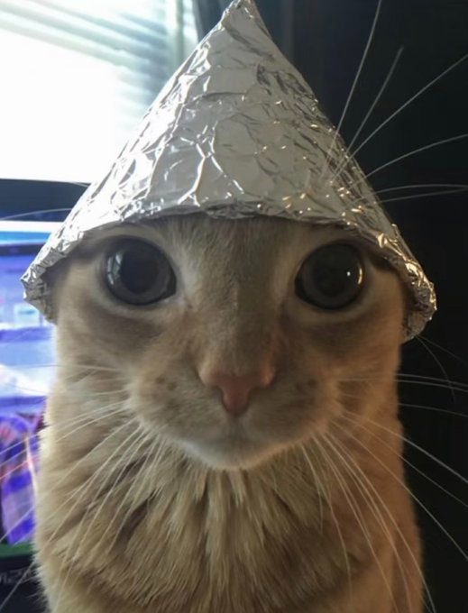 Agent 56969 avatar