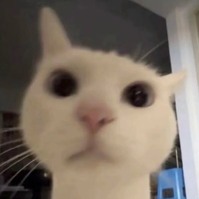 RYANMYHER