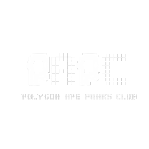 Polygon Ape Punks Logo