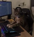 puter